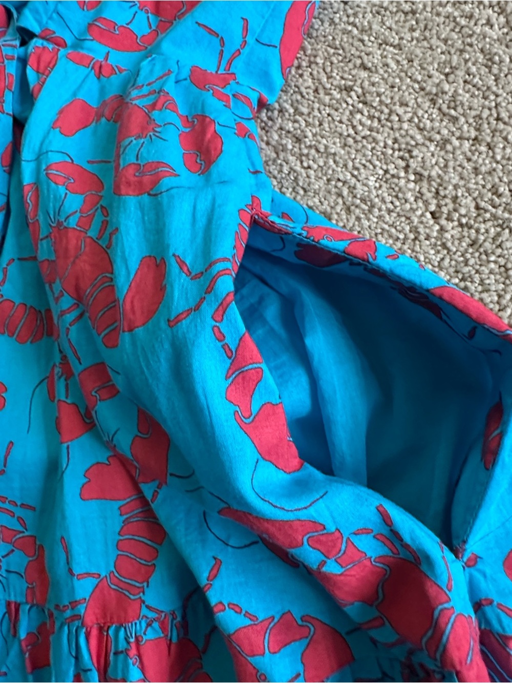 J. crew lobster print sun dress - Picture 14 of 14